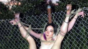 Webslut Allyna Ruined