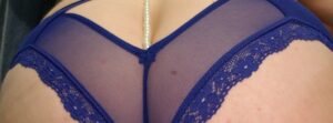 butterfly50286